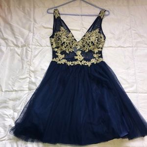 Homecoming/prom dress